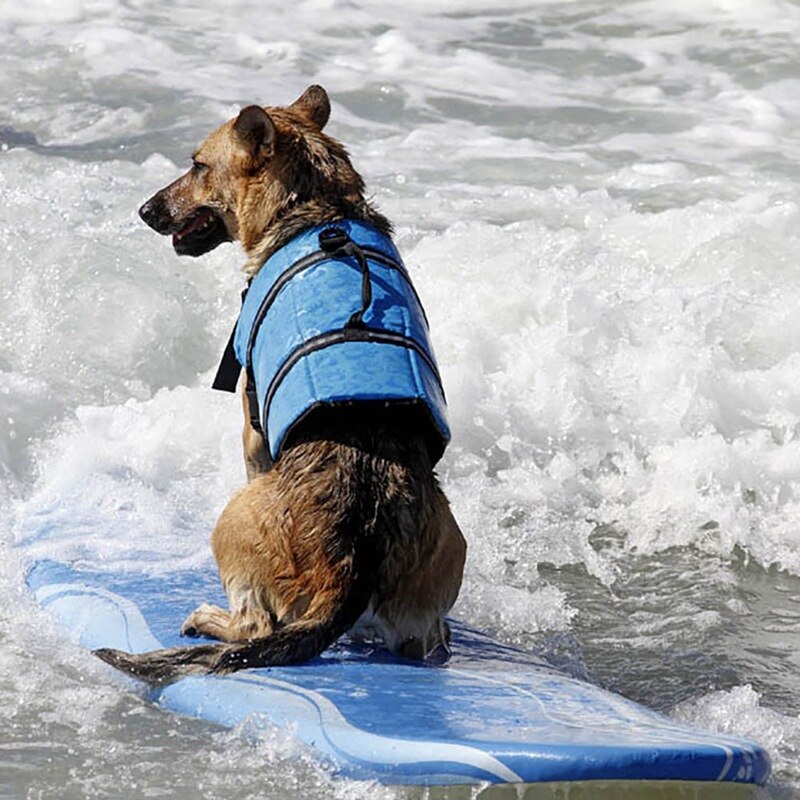 Reflective Dog Life Vest - Safe & Secure Water Play