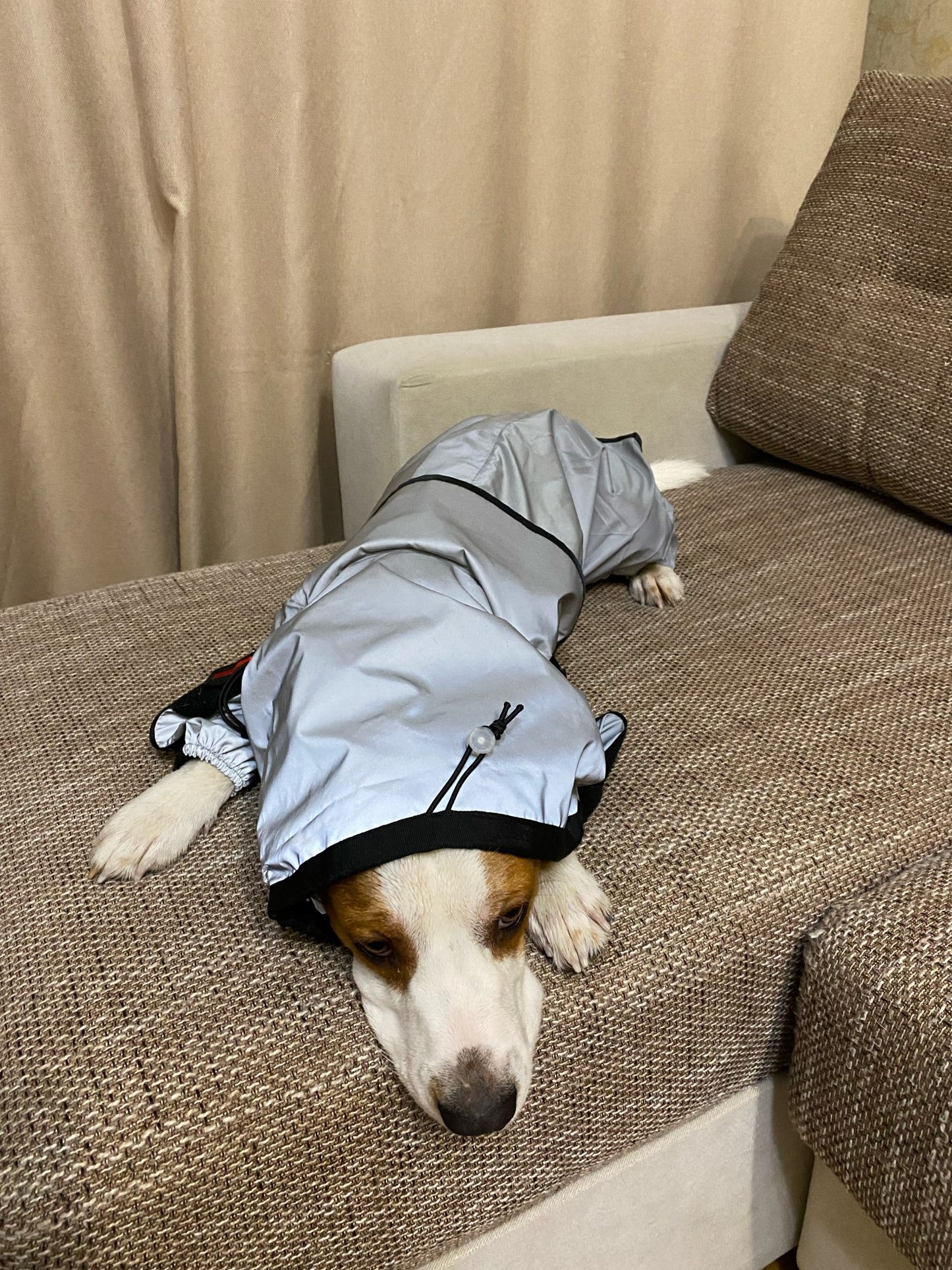 Reflective All-weather Waterproof Dog Rain Coat