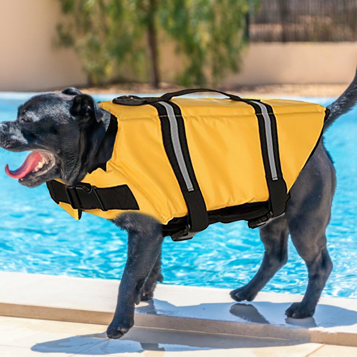 Yellow Shark Float Cotton Dogs Vest (XL and XXL)
