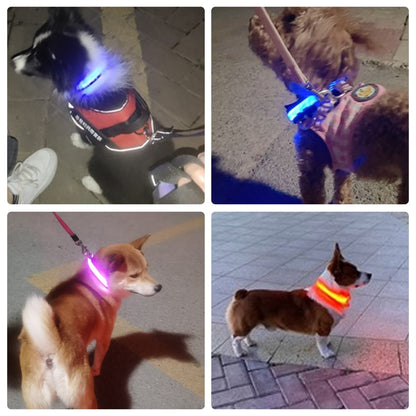 LED Waterproof Adjustable Dog Night Light Collar