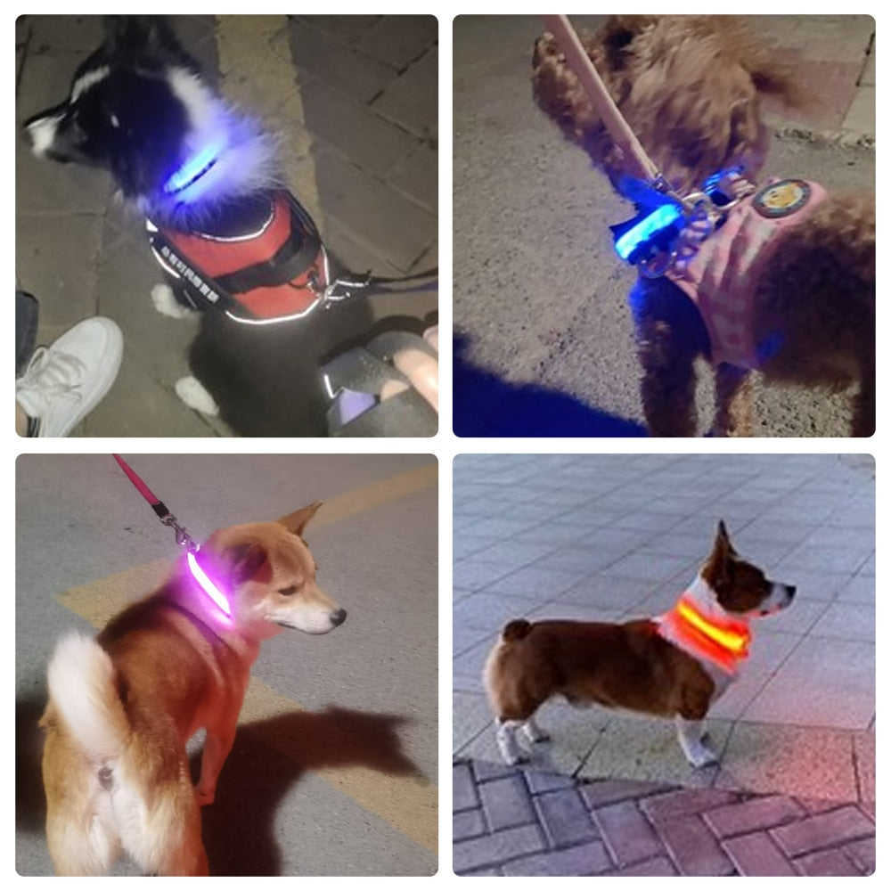 LED Waterproof Adjustable Dog Night Light Collar