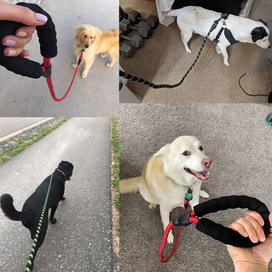 Comfortable Reflective Strong Dog Leash with Waste Bag Holder