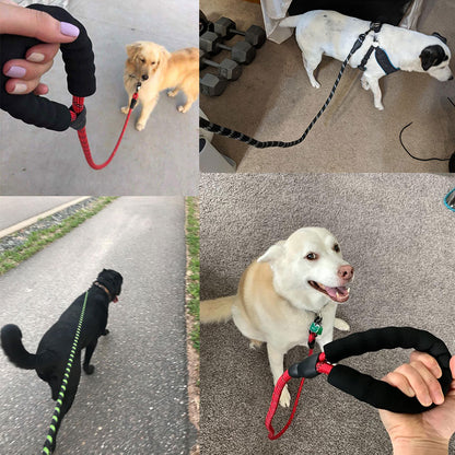 Comfortable Reflective Strong Dog Leash with Waste Bag Holder