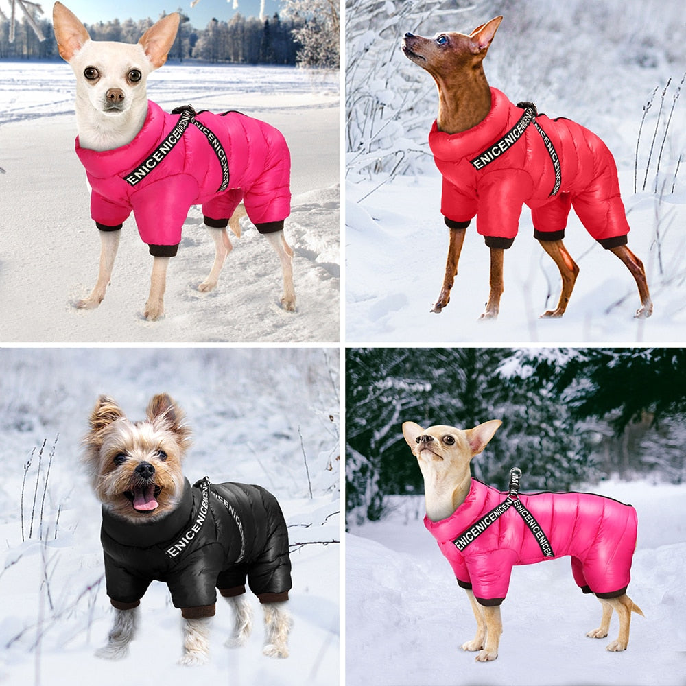 Super Warm Dog Coat With Harness
