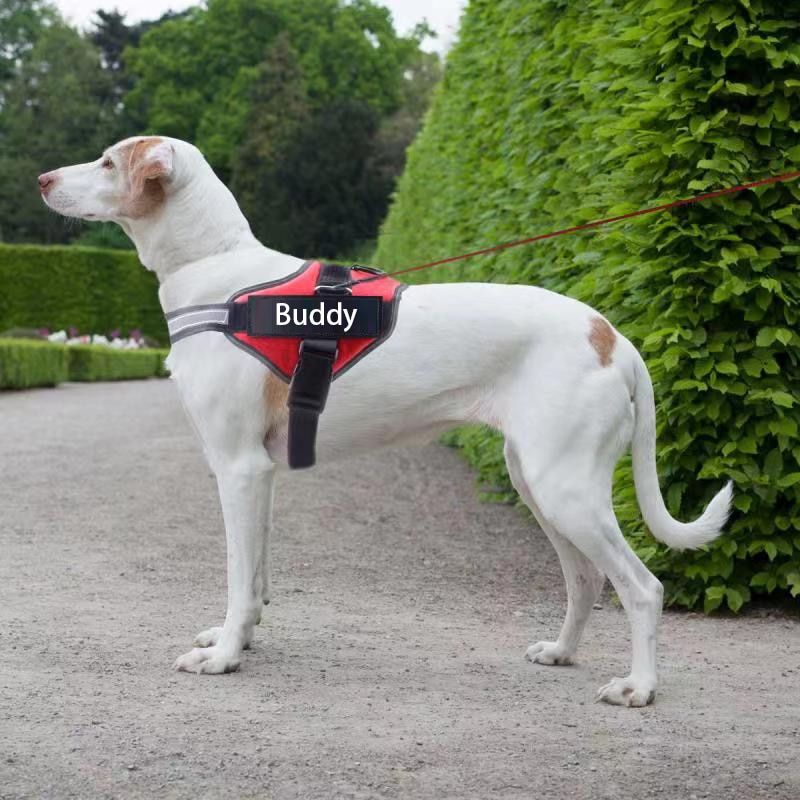Reflective Adjustable Dog Harness Vest