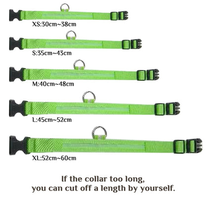 LED Waterproof Adjustable Dog Night Light Collar