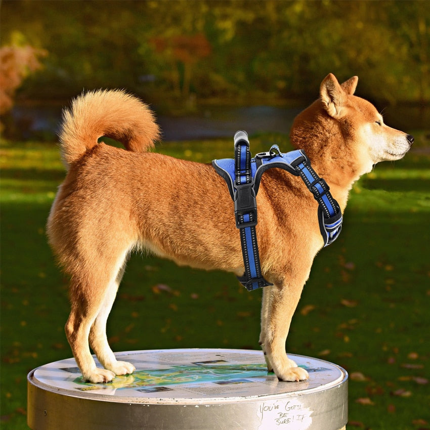 Reflective Breathable Adjustable Pet Harness