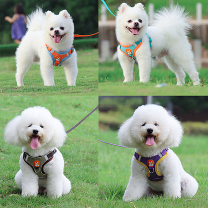 Reflect Light Dog Harness And Leash set