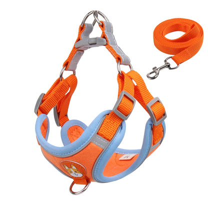 Reflect Light Dog Harness And Leash set