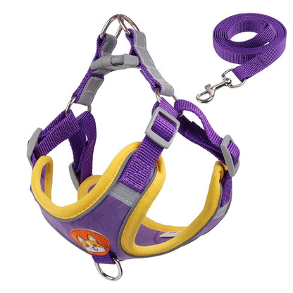 Reflect Light Dog Harness And Leash set