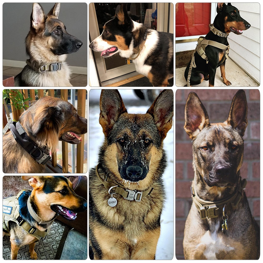 PETRAVEL Adjustable Tactical Dog Collar & Leash Set
