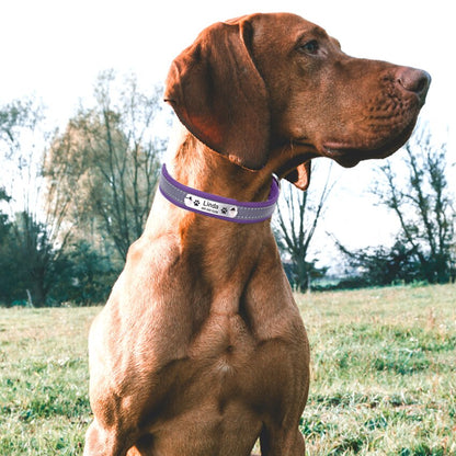 Personalized Reflective Leather ID Custom Tag Collars