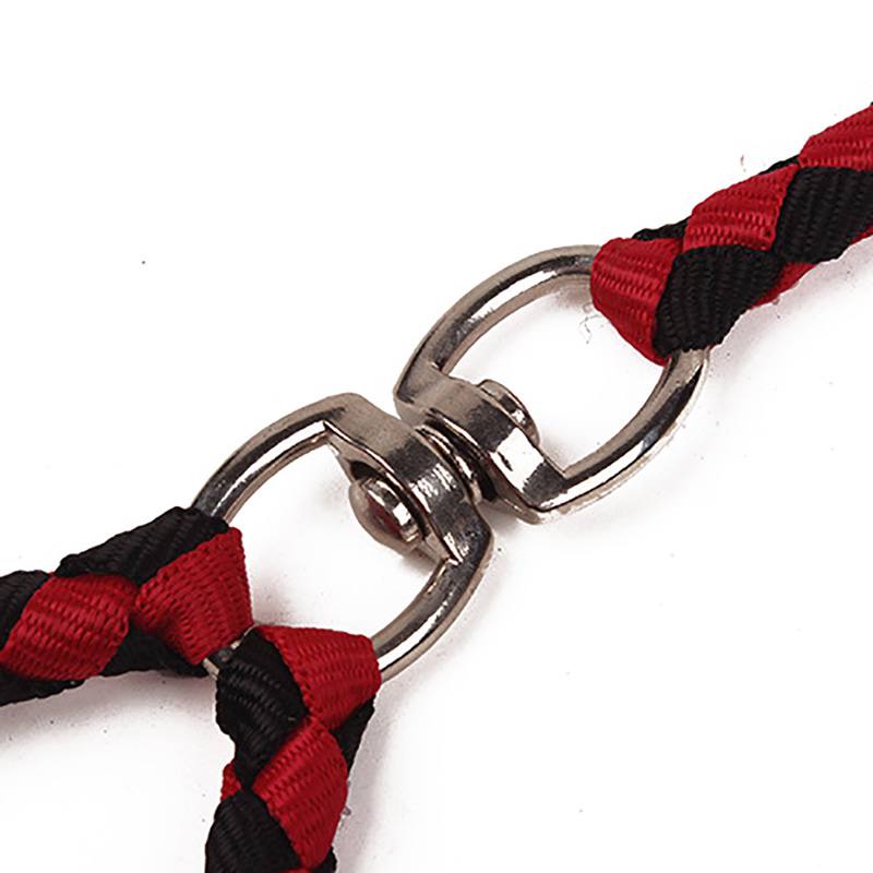 Braided Nylon Dual (2) Dog Leash