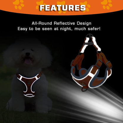 Reflect Light Dog Harness And Leash set
