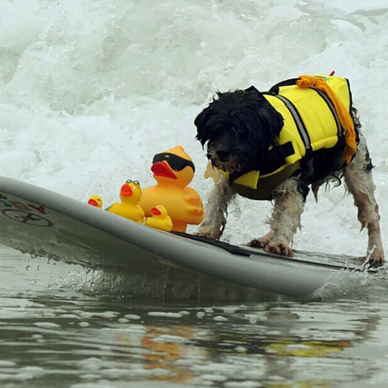 Reflective Dog Life Vest - Safe & Secure Water Play