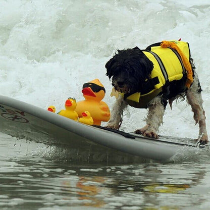 Reflective Dog Life Vest - Safe & Secure Water Play