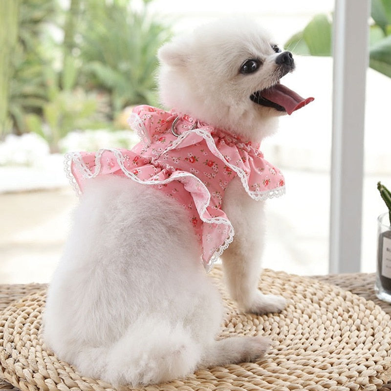Floral Printed Harness Leash Set