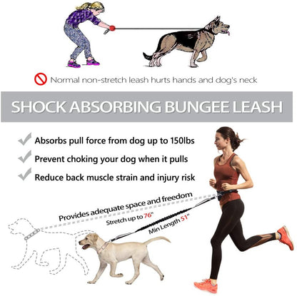 Running Dog Leash