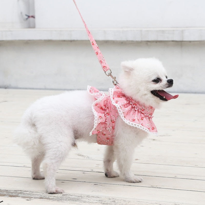 Floral Printed Harness Leash Set