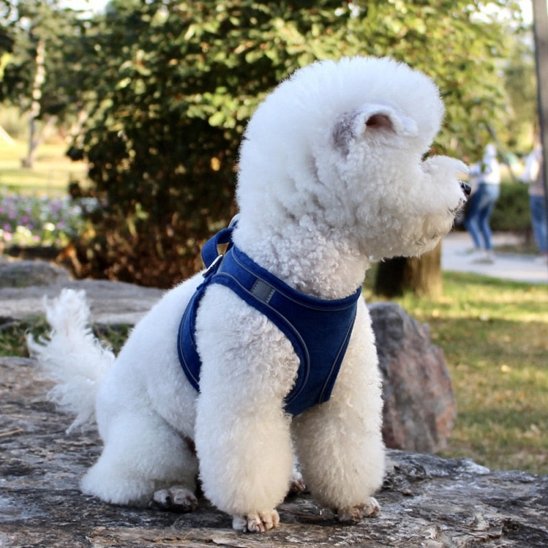 Reflective Breathable Adjustable Dog Harness