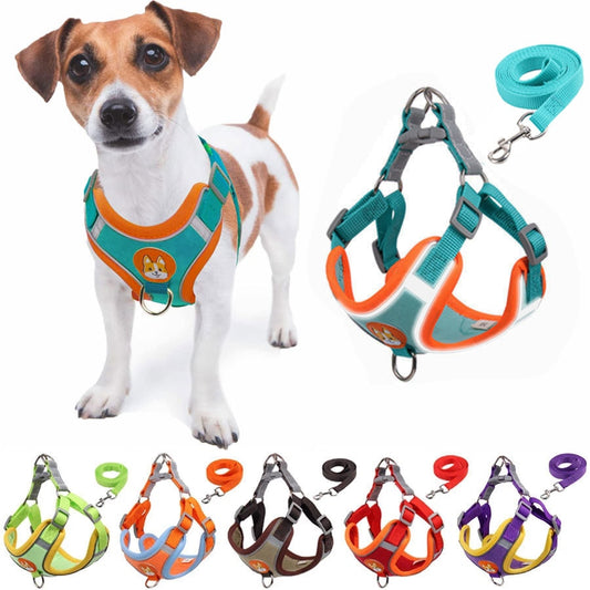 Reflect Light Dog Harness And Leash set