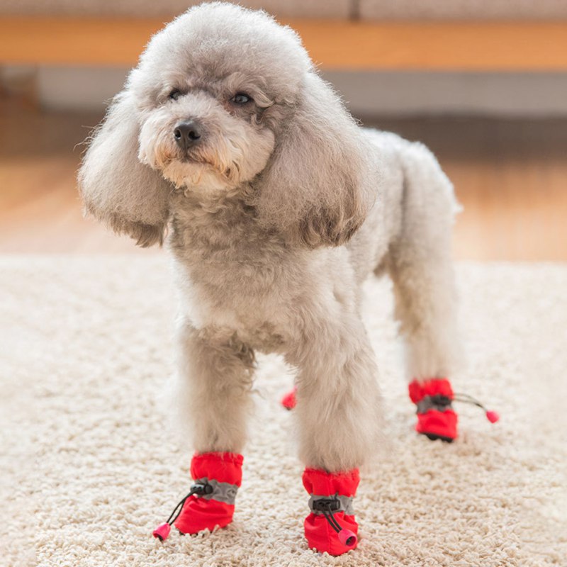 Soft-soled Pet Dog Shoes