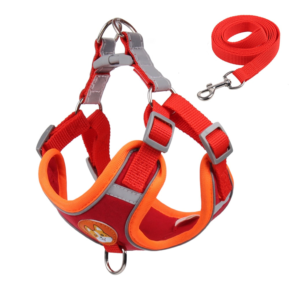 Reflect Light Dog Harness And Leash set