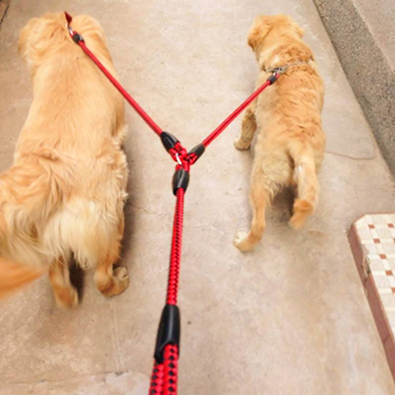Braided Nylon Dual (2) Dog Leash