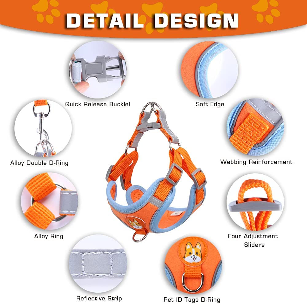 Reflect Light Dog Harness And Leash set