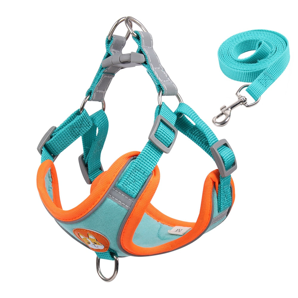 Reflect Light Dog Harness And Leash set