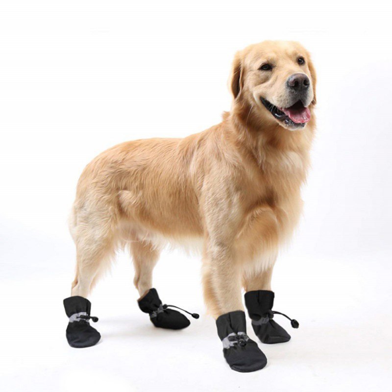 Soft-soled Pet Dog Shoes