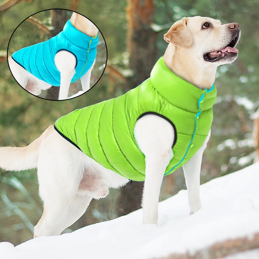 3 Layer Reversible Dogs Jacket