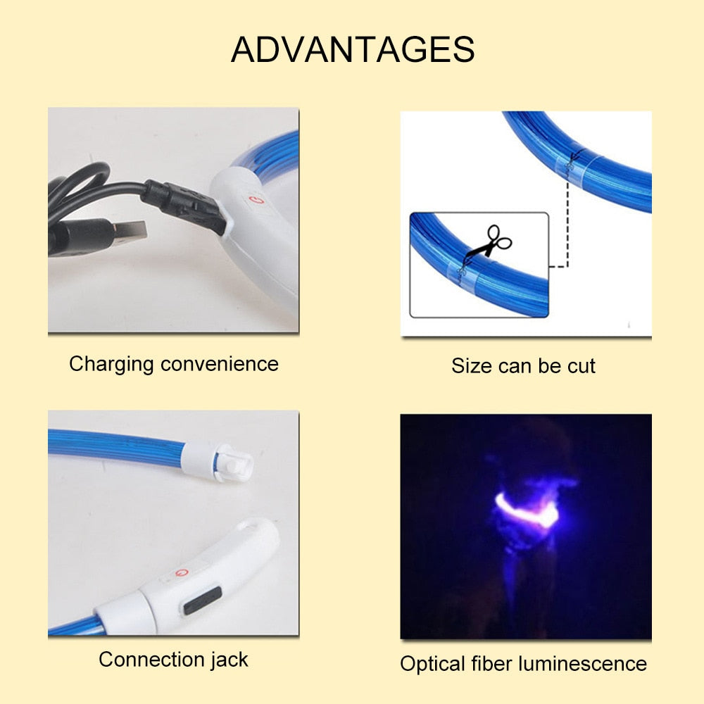 Led Night Safety Flashing Glow Collar