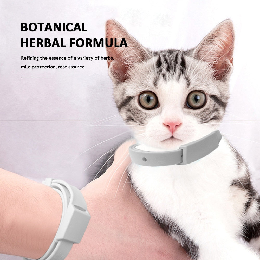 Pet Flea And Tick Collar For Dog