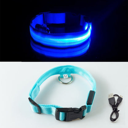 Anti-lost Led Light Collar For Dogs