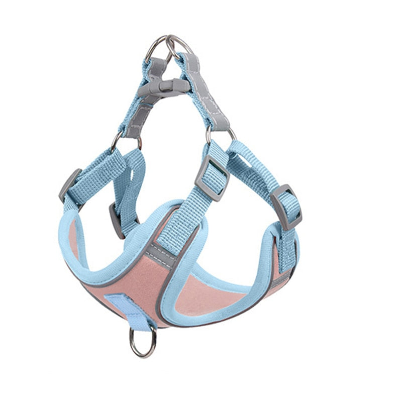 Adjustable Harness For Small Dogs | Matching Leashes Available
