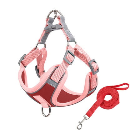 Adjustable Harness For Small Dogs | Matching Leashes Available