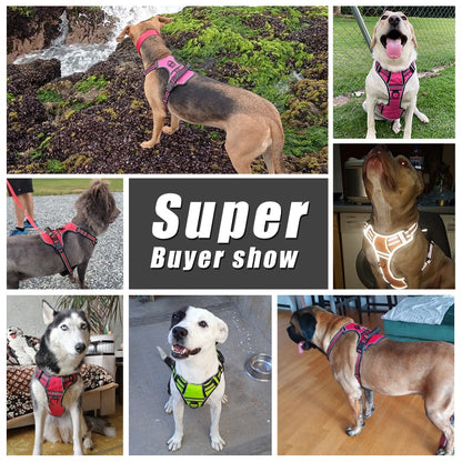 Reflective Breathable Adjustable Pet Harness