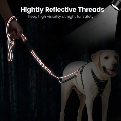 Double Handle Reflective Multifunction Dog Leash - 4-in-1 Heavy Duty Design