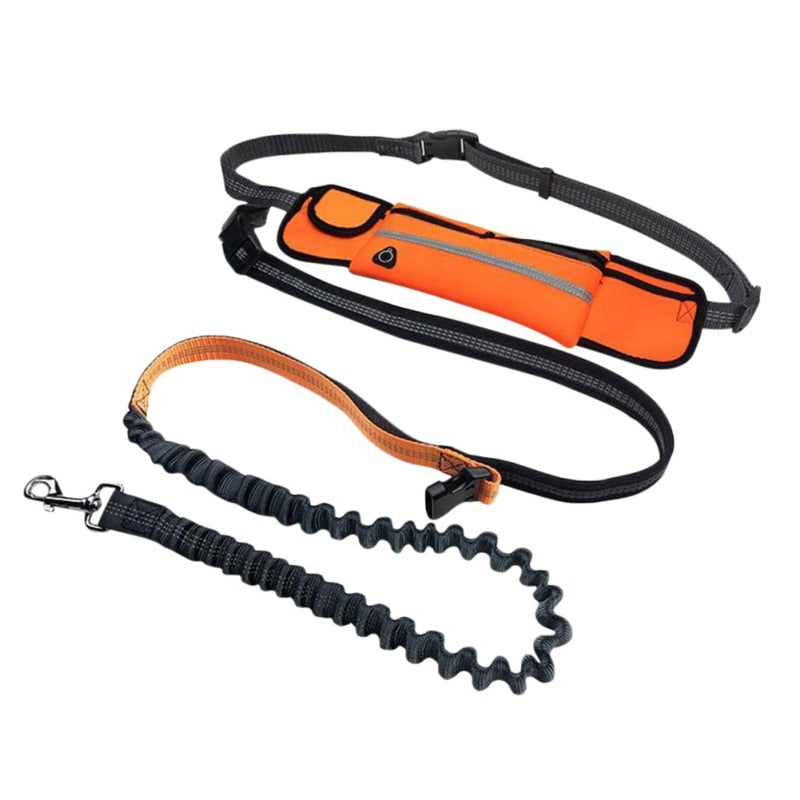 Hands Free Reflective Dog Leashes