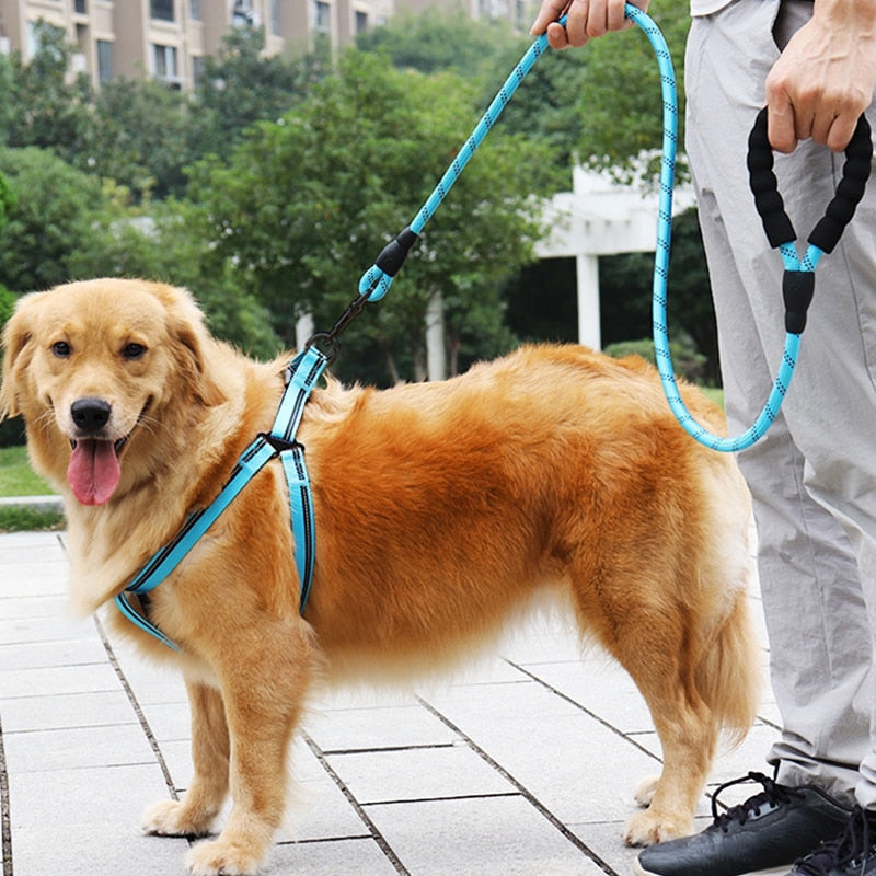 Reflective Strong Nylon Leash Training Safety Dog Leashes