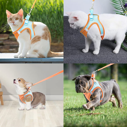 Adjustable Comfort Puppy Harness