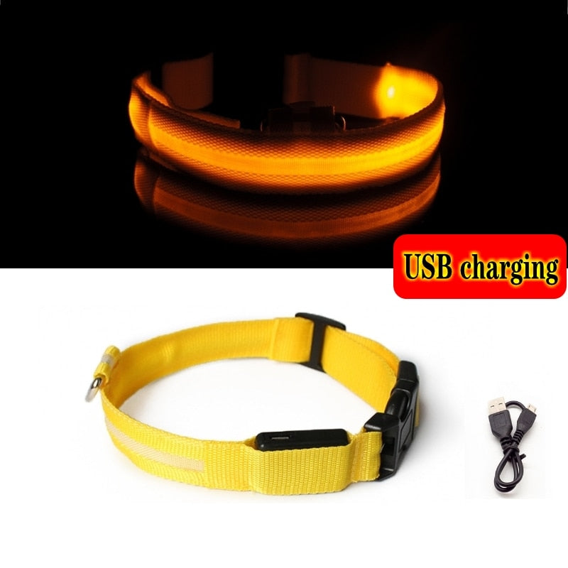 Anti-lost Led Light Collar For Dogs