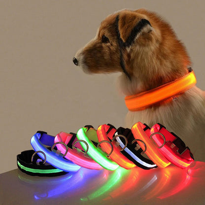 Anti-lost Led Light Collar For Dogs