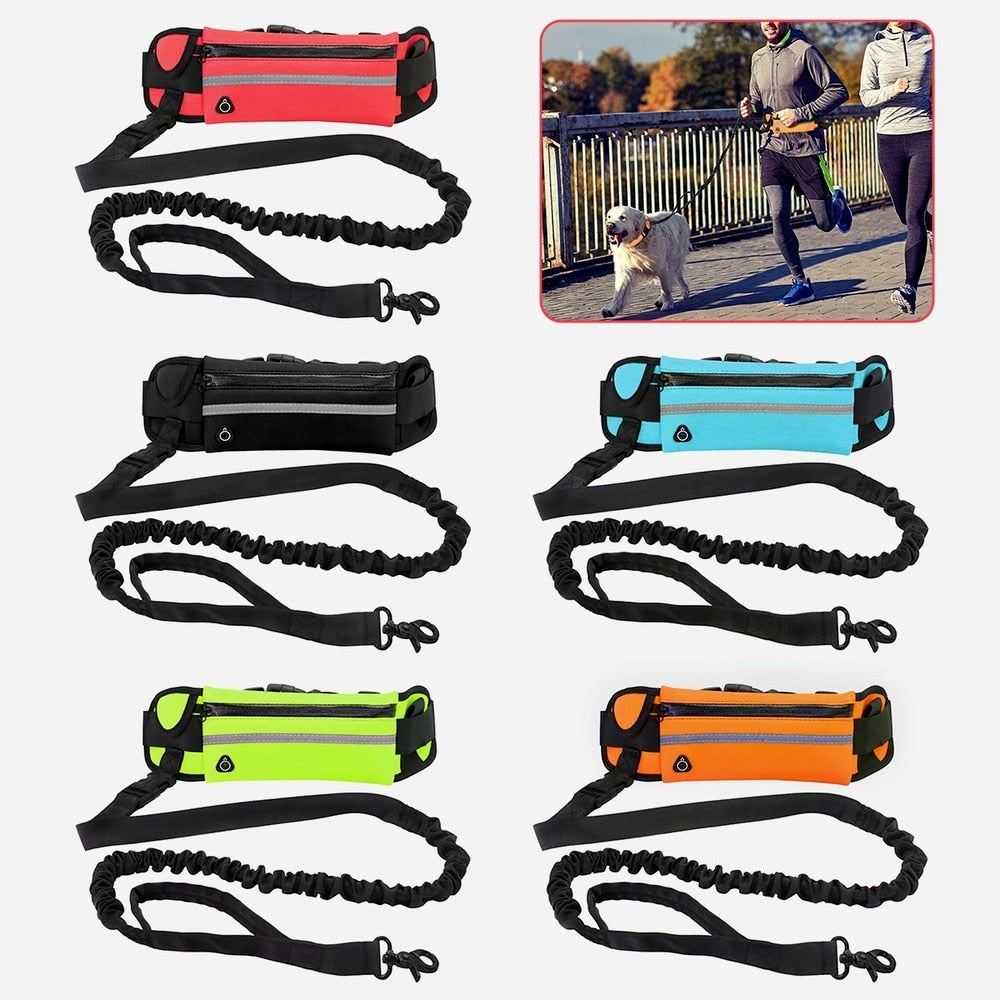 Hands Free Dog Leash