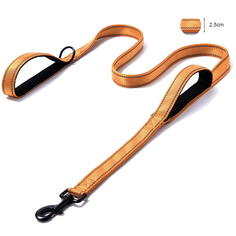 Dual Handle Dog Leash