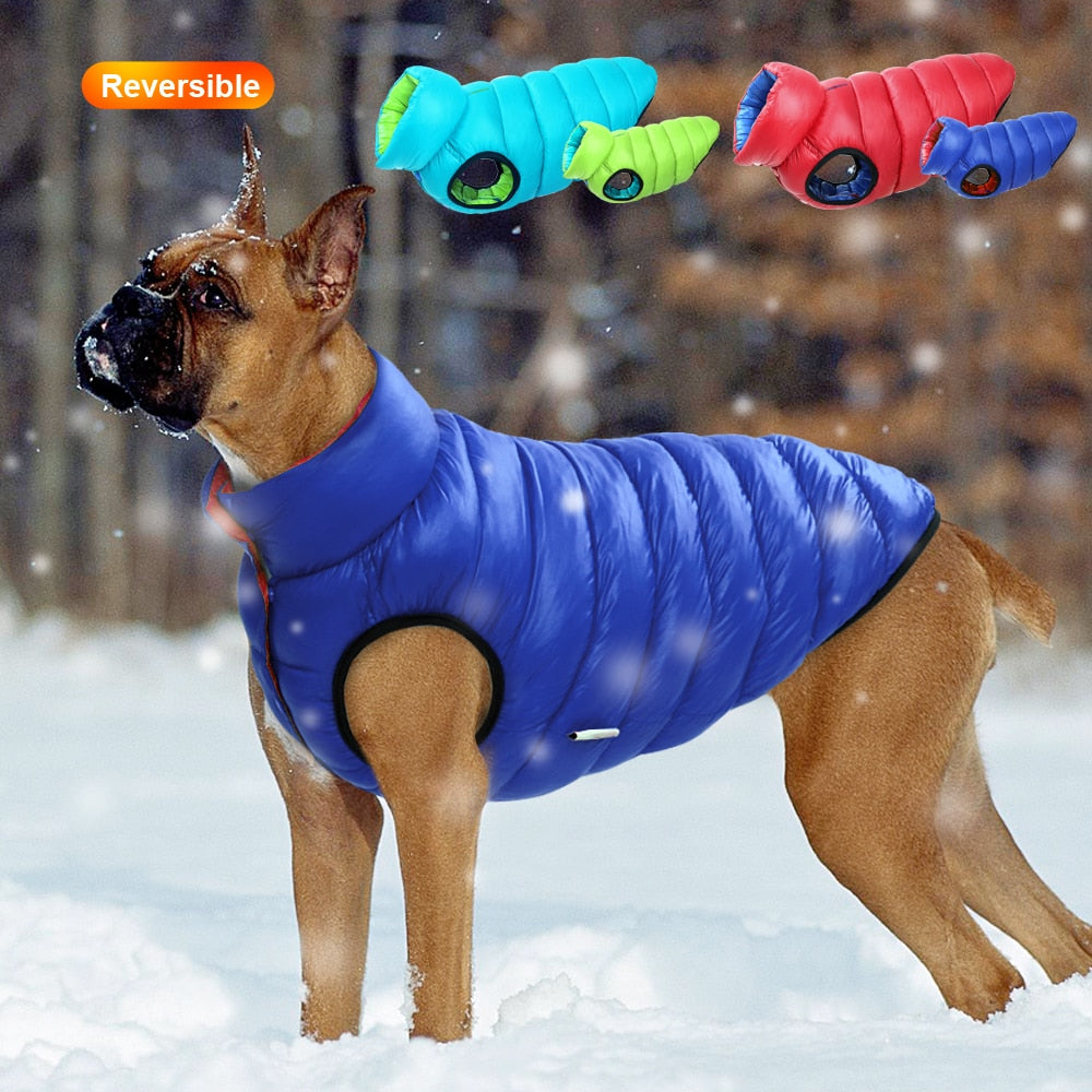 3 Layer Reversible Dogs Jacket