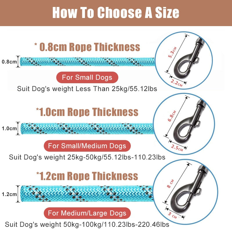 Reflective Strong Nylon Leash Training Safety Dog Leashes