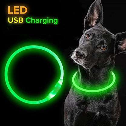 Led Night Safety Flashing Glow Collar