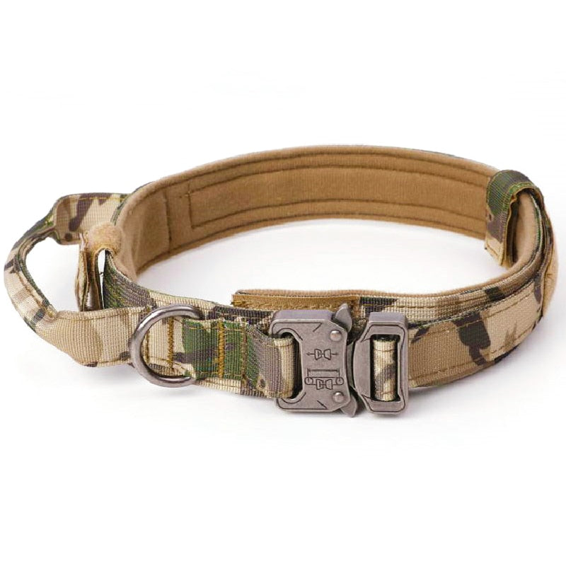 PETRAVEL Adjustable Tactical Dog Collar & Leash Set